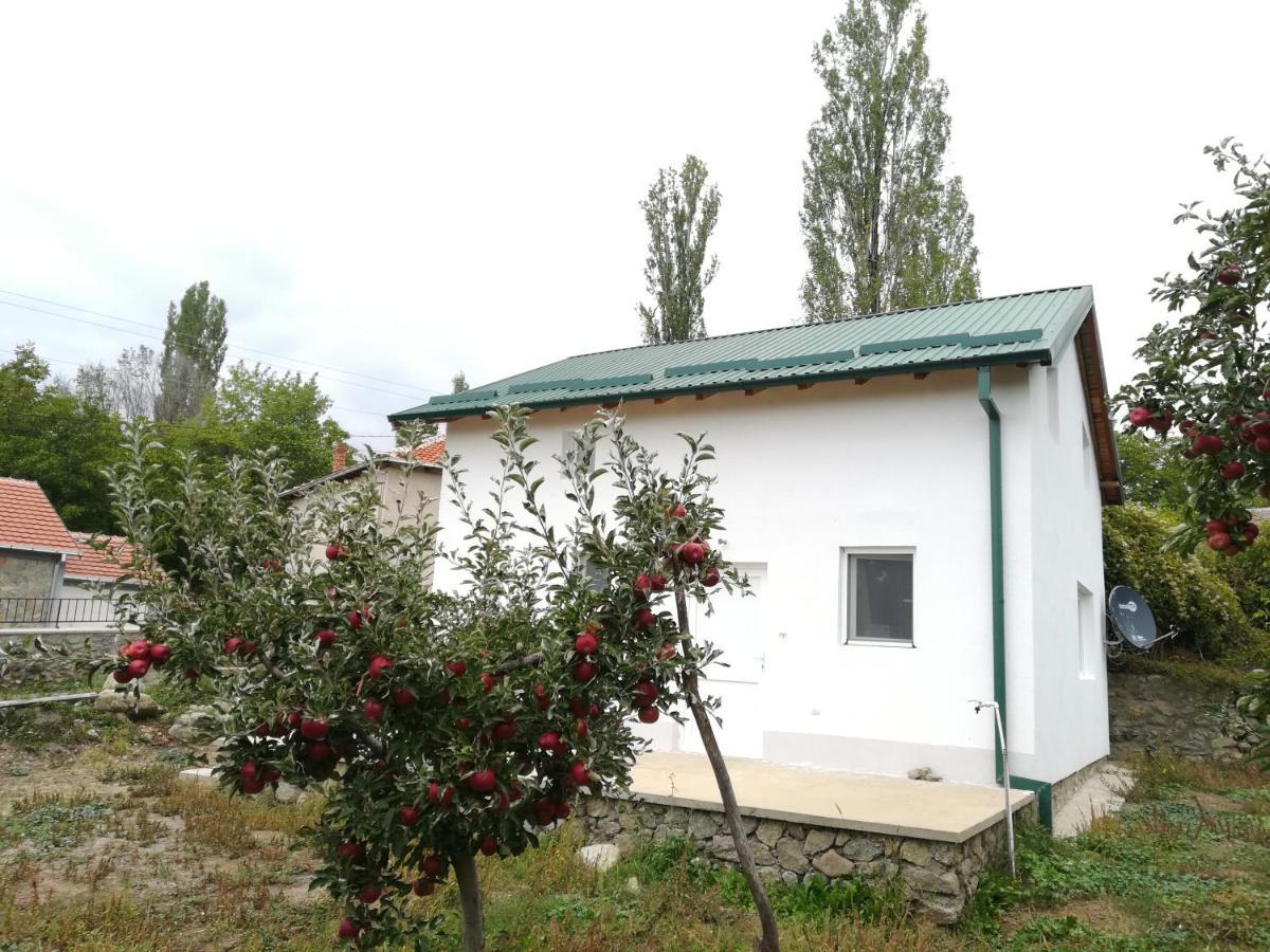Villa Lila Dolno Dupeni Екстер'єр фото