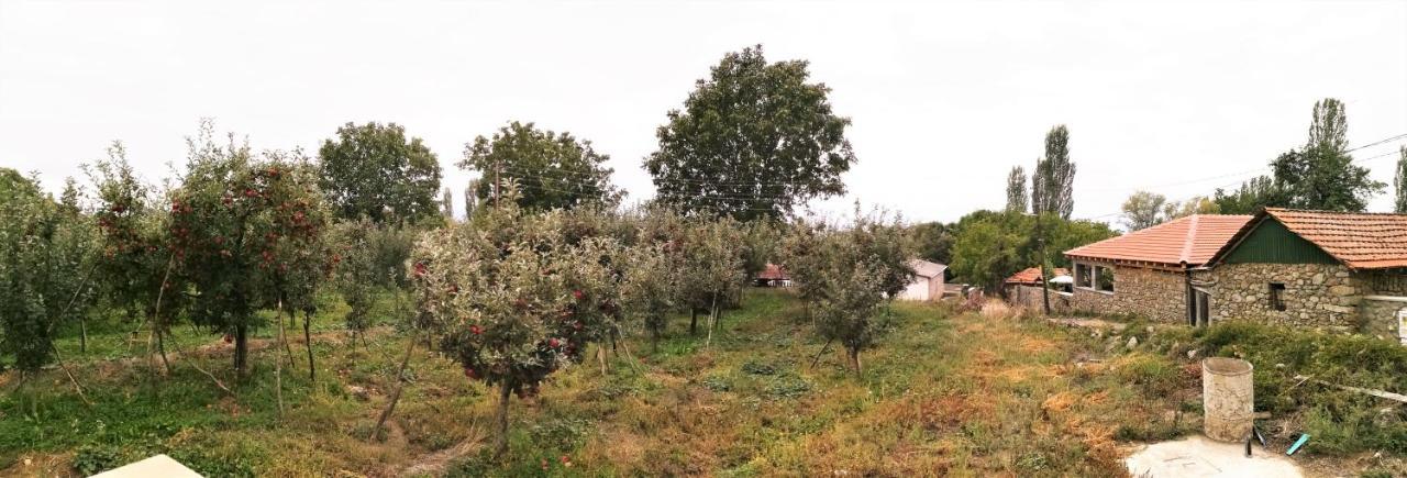 Villa Lila Dolno Dupeni Екстер'єр фото
