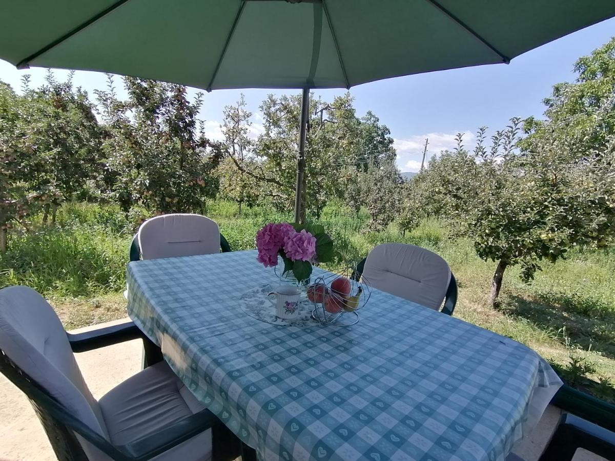 Villa Lila Dolno Dupeni Екстер'єр фото